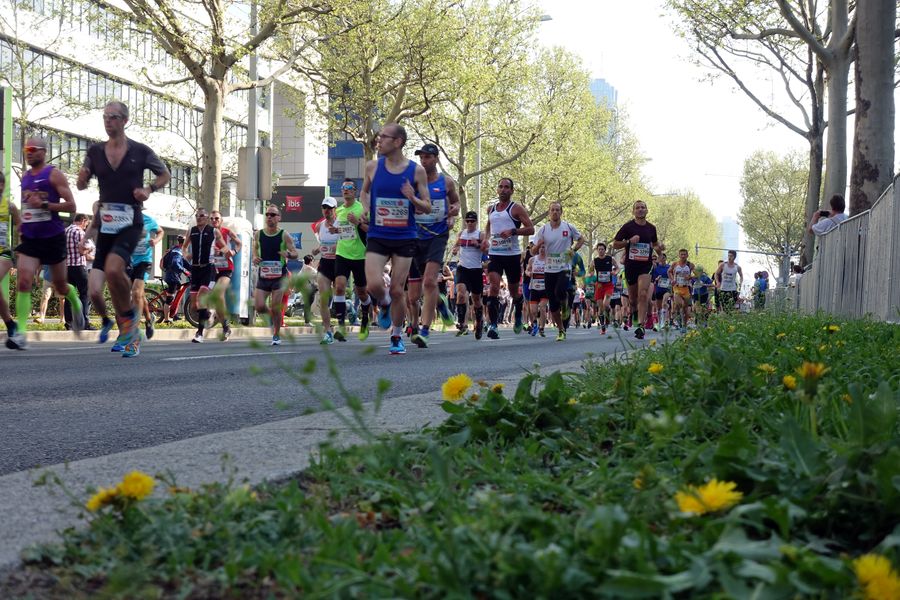 Vienna City Marathon 73 1524387341